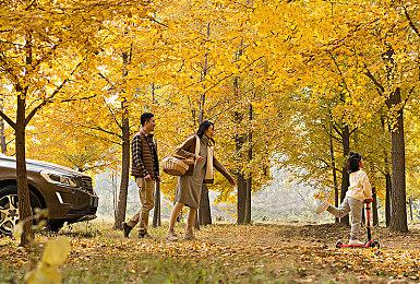 幻想策略游戏《无尽帝国2》新预告 8月开启抢先体验！